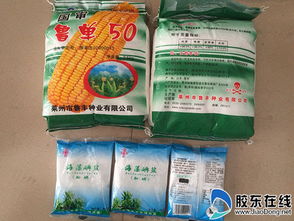 招遠(yuǎn)警方開展 假鹽換真 健康伴你行 活動(dòng)圖