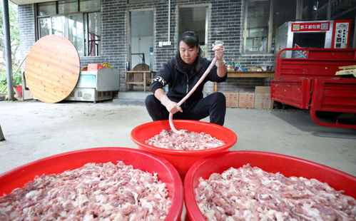 廣西三江 古鎮(zhèn)臘味香滿街，腌制鹽香傳千年